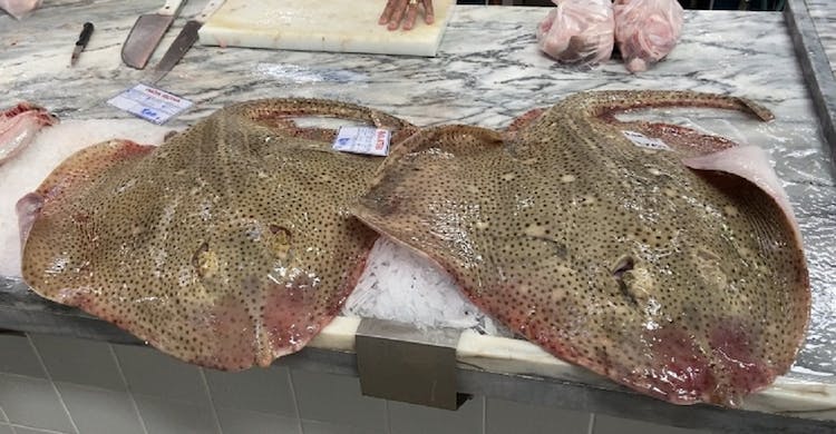 Arrábida small-group wine tour from Lisbon