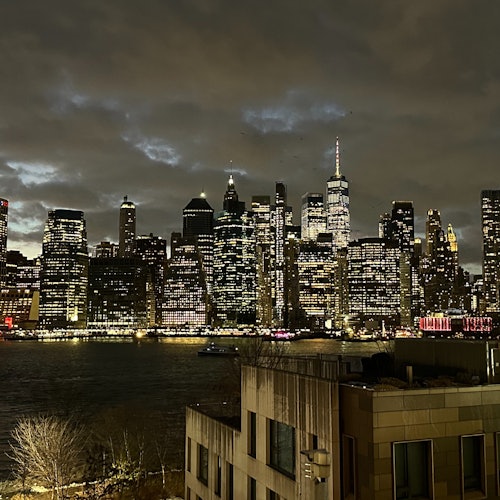 New York: Brooklyn Bridge & DUMBO Guided Walking Tour in Spanish