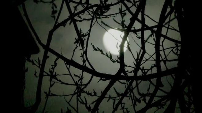 Free Tour Misteri della Royal Mile