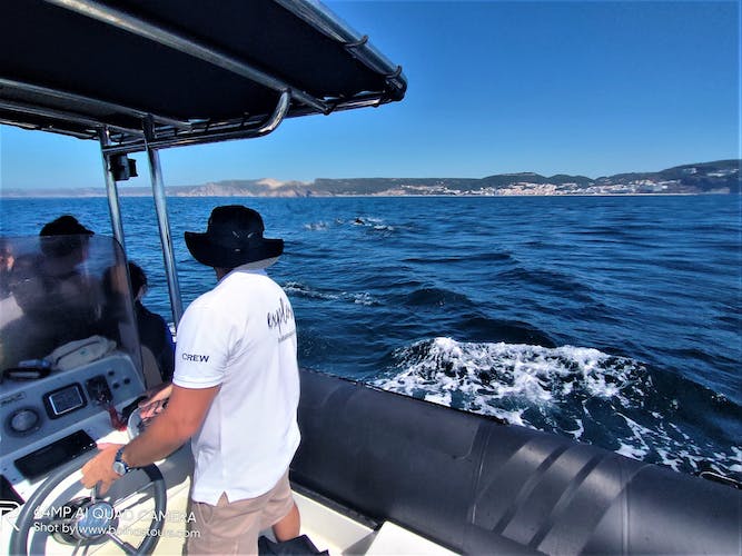 Boat tour with dolphin watching in Sesimbra