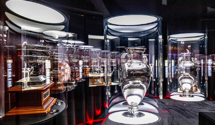 SL Benfica Stadium and Museum tour with scarf