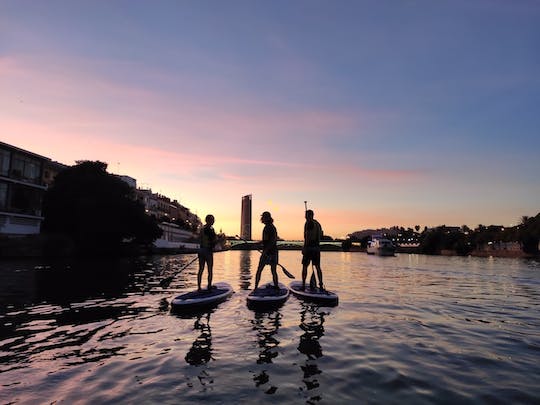 Tour de SUP de 90 minutos al atardecer en Sevilla