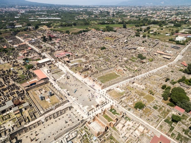 Vesuvio and Pompeii full-day audio guided tour from Naples