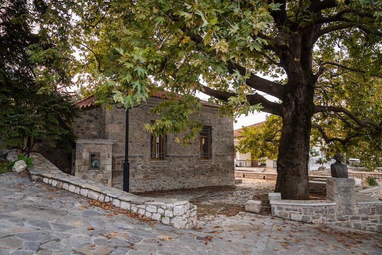 Excursión privada al parque nacional Parnaso y Arájova desde Atenas