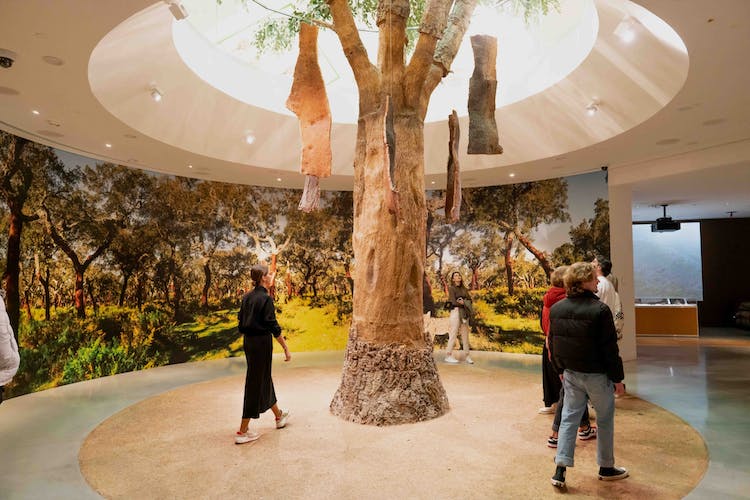 WOW Porto combo ticket for 3 or 5 museums