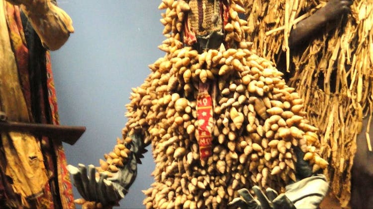 New York American Museum of Natural History and In App Audio Tour