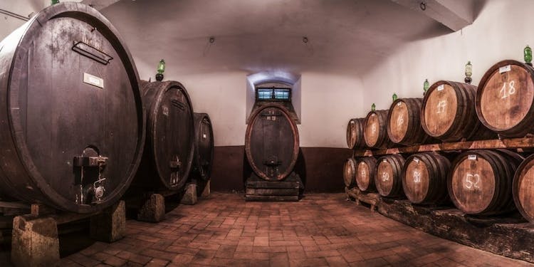 Visit to Tenuta Bossi dei Marchesi Gondi with 3 wine tastings