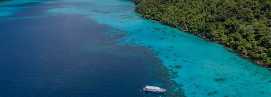 Buceo en los arrecifes de las islas Surin desde Phuket
