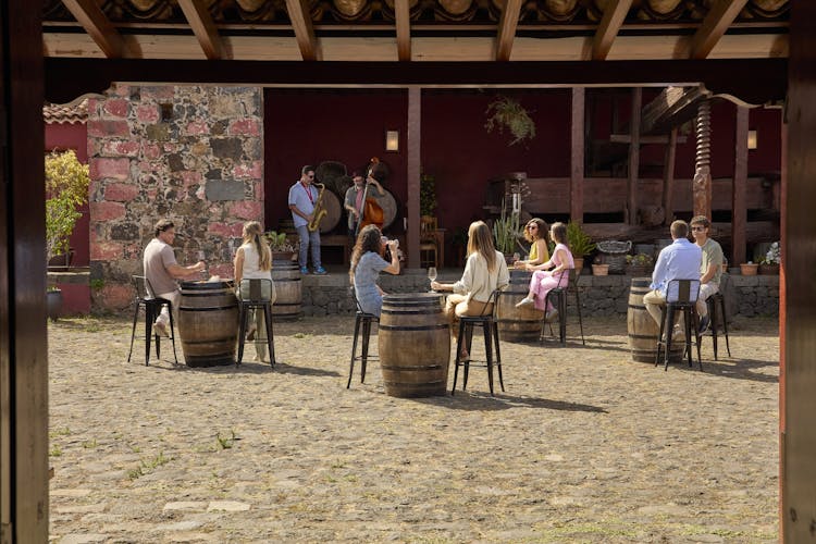 Entradas al Museo del Vino y degustación de 5 vinos y 7 especialidades