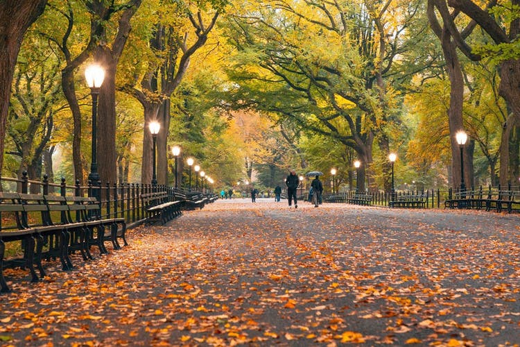 Central Park self-guided audio tour