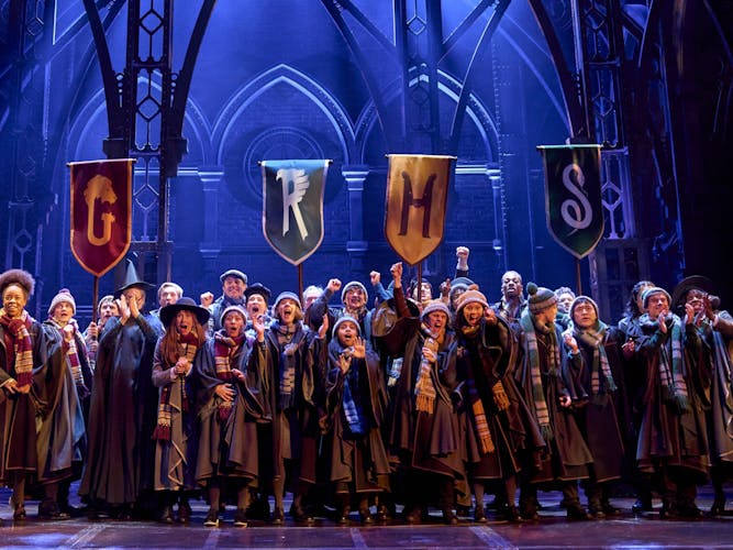 Harry Potter and the cursed child, entry ticket for the Palace Theatre