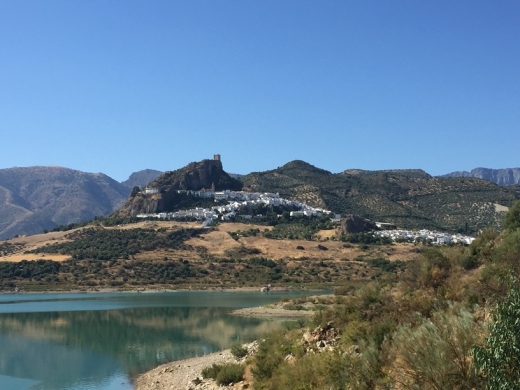 Excursión de avistamiento de delfines en Gibraltar desde Jerez