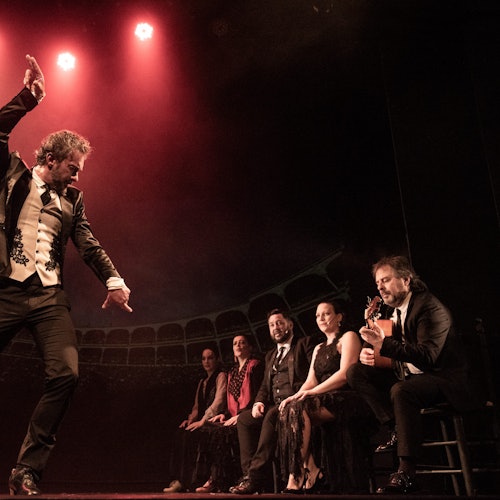 Teatro Flamenco Barcelona: Flamenco Show