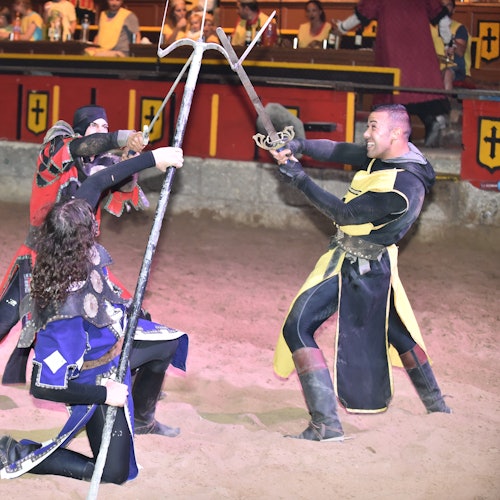 Tenerife Aventura Medieval