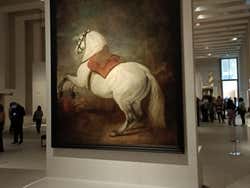 Visita guiada por la Galería de las Colecciones Reales