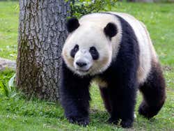 Entrada al Zoo Aquarium