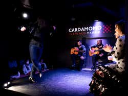 Show flamenco en el tablao Cardamomo