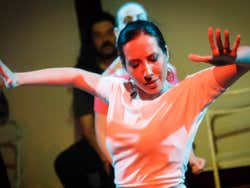 Flamenco Theatre Show