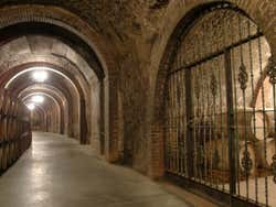 Ribera del Duero or Tagus Valley Wine Tour