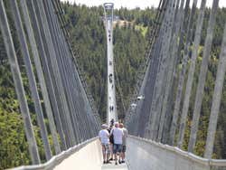 Excursión al Sky Bridge y Sky Walk