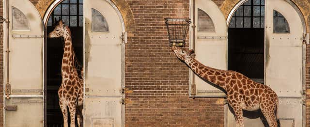 London Zoo Tickets