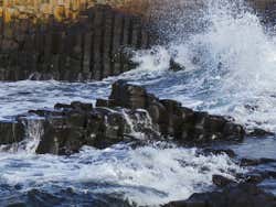 Excursión a Belfast y la Calzada del Gigante