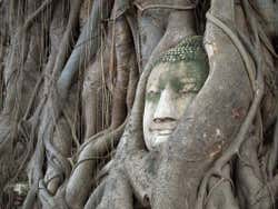 Mercado sobre las vías, mercado flotante y ruinas de Ayutthaya