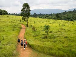 Excursión al parque de Khao Yai
