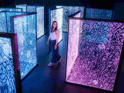 IKONO Budapest Tickets