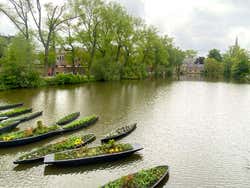 Excursión a Bruselas y Brujas