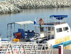 Snorkel en Dibba Al-Fujairah