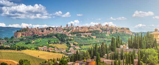 Day Trip to Assisi + Wine Tasting