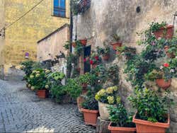 Assisi, Orvieto & Civita di Bagnoregio Day Trip