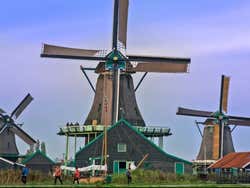 Zaanse Schans Windmills Self-Guided Day Trip