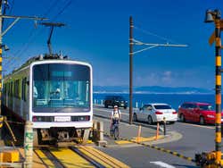 Kamakura & Enoshima Private Day Trip