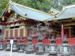 Nikko Private Day Trip