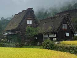 Shirakawago & Kanazawa Day Trip by Bullet Train