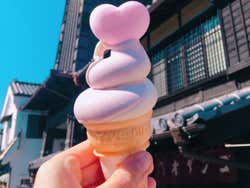 Private Day Trip to Kawagoe