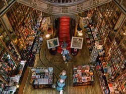Porto Tour: Lello Bookshop, Boat Trip + Gaia Cable Car