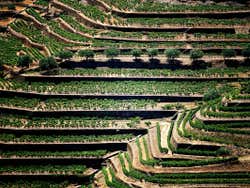 Private Day Trips from Porto