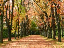 Serralves Foundation Tickets