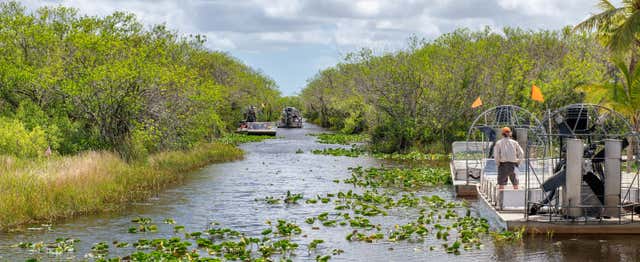 Paseo en hidrodeslizador por los Everglades