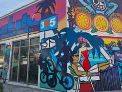 Entradas a Wynwood Walls