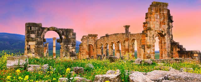 Excursión privada a Volubilis, Mulay Idrís y Meknes