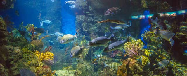 Entrada a L’Aquàrium de Barcelona