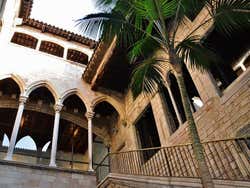 Picasso Museum Barcelona Guided Tour