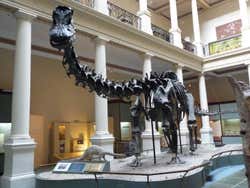 Excursión a La Plata