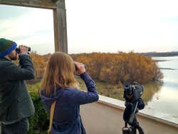 Excursión a Doñana