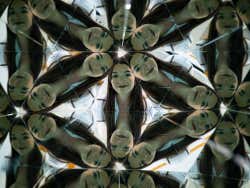 Entrada al Museo de las Ilusiones de Sevilla