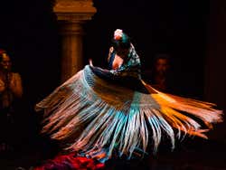 Seville Flamenco Dance Museum Show